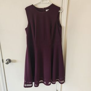 Calvin Kline Dress
